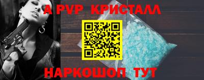 ECSTASY Гай