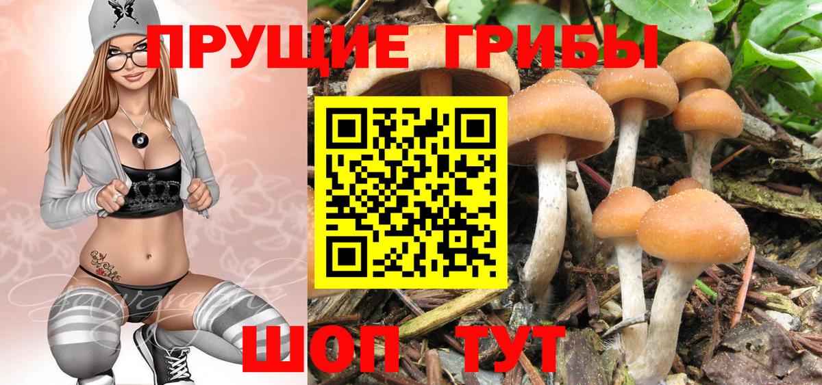 Галлюциногенные грибы MAGIC MUSHROOMS Новокуйбышевск